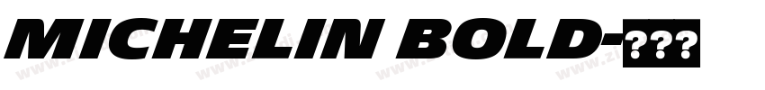 Michelin Bold字体转换